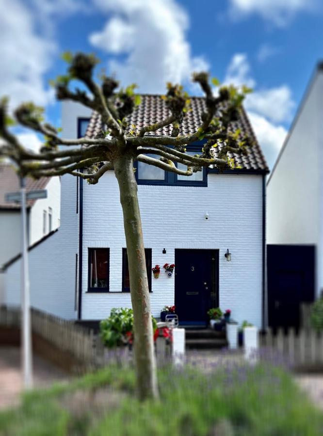 Continentaiz Appartement Zandvoort Kültér fotó